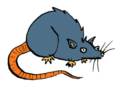 Pack Rat