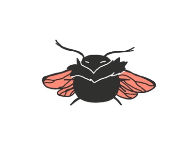 Abeille Charpentière