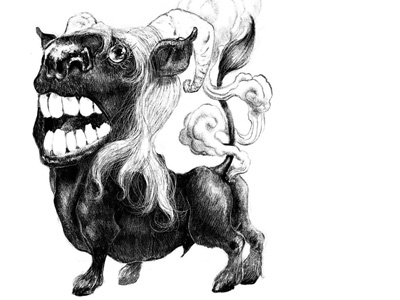 Bonnacon