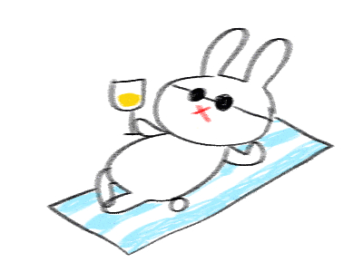 Pack deluxe lapin