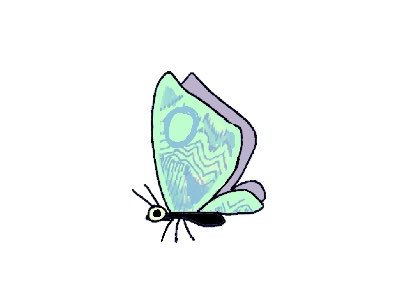 Papillon sauvage