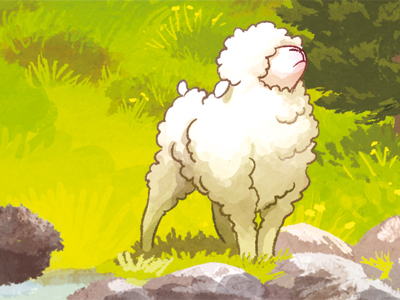 Pack Mouton