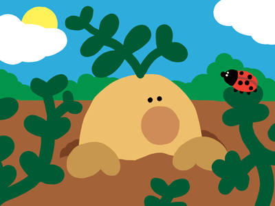 Le tubercule