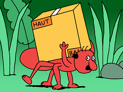Pack Libraires