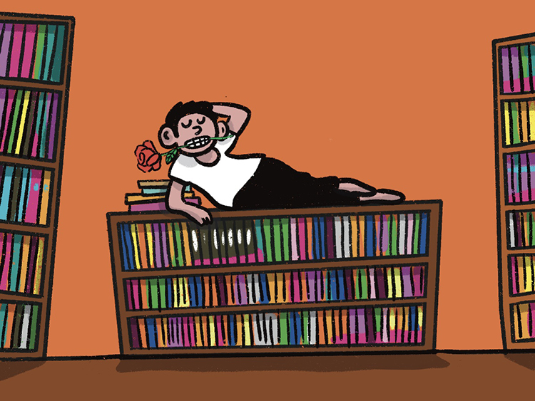 LE PACK LIBRAIRES