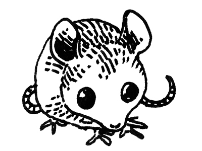 Pack Petite Souris